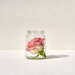 Scented candle refill - old roses